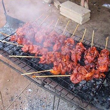 ไก่ย่าง, ไก่ย่างระเบียบ เขาสวนกวาง
